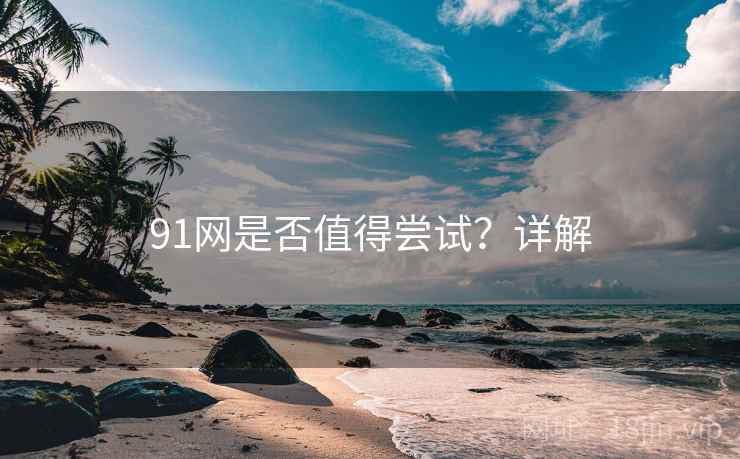 91网是否值得尝试？详解  第2张