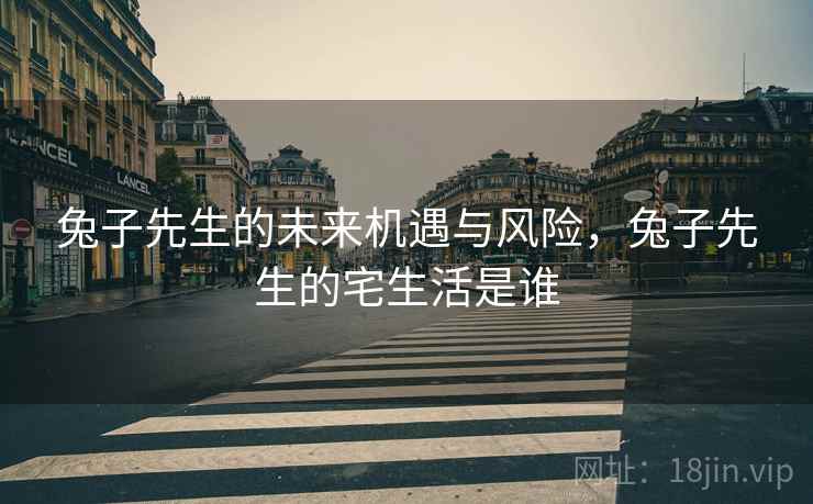 兔子先生的未来机遇与风险，兔子先生的宅生活是谁  第1张