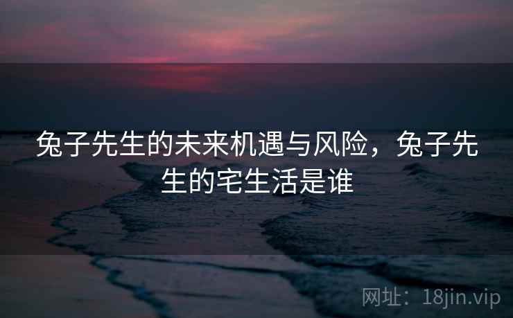 兔子先生的未来机遇与风险，兔子先生的宅生活是谁  第2张