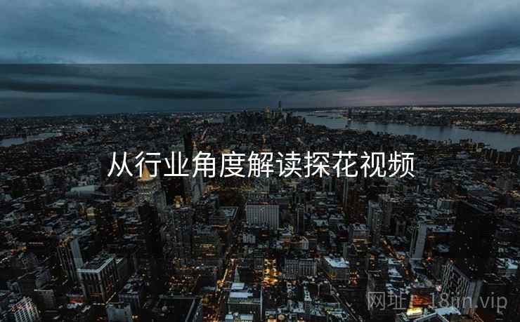 从行业角度解读探花视频  第2张