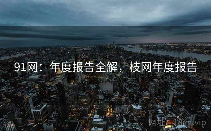 91网：年度报告全解，枝网年度报告  第1张
