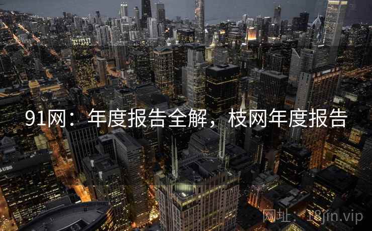 91网：年度报告全解，枝网年度报告  第2张