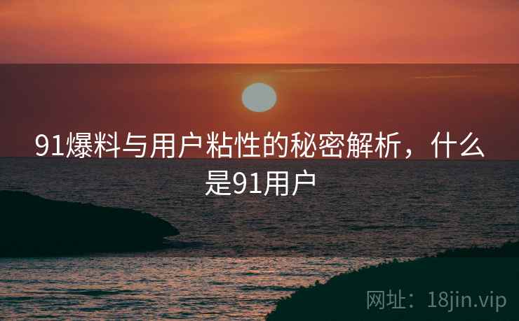 91爆料与用户粘性的秘密解析，什么是91用户  第2张