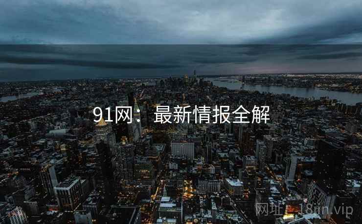 91网：最新情报全解  第1张