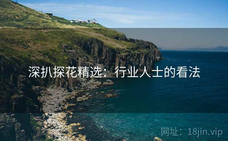 深扒探花精选：行业人士的看法  第1张