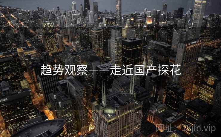 趋势观察——走近国产探花  第1张