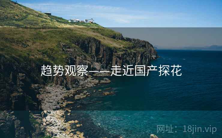 趋势观察——走近国产探花  第2张