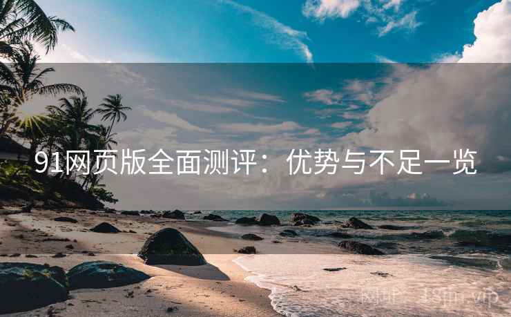 91网页版全面测评：优势与不足一览  第2张