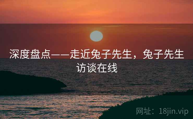 深度盘点——走近兔子先生，兔子先生访谈在线  第1张