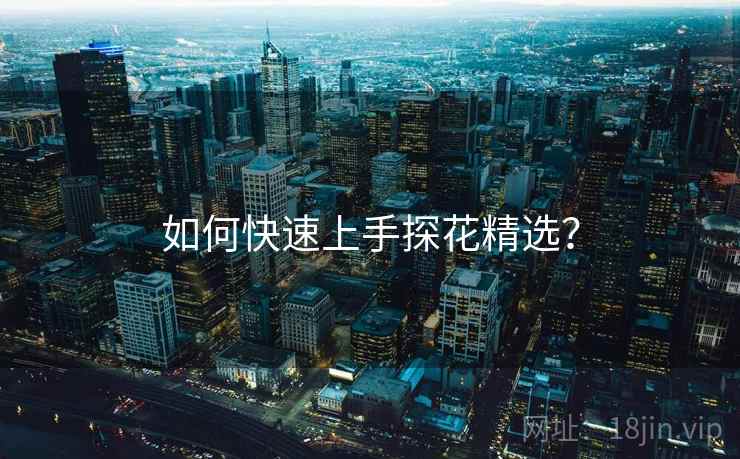 如何快速上手探花精选？  第1张