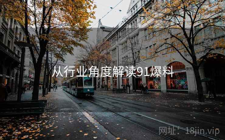 从行业角度解读91爆料  第1张