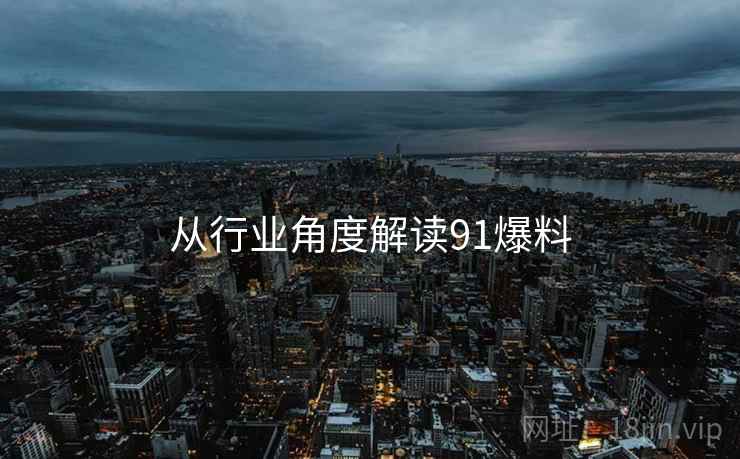 从行业角度解读91爆料  第2张