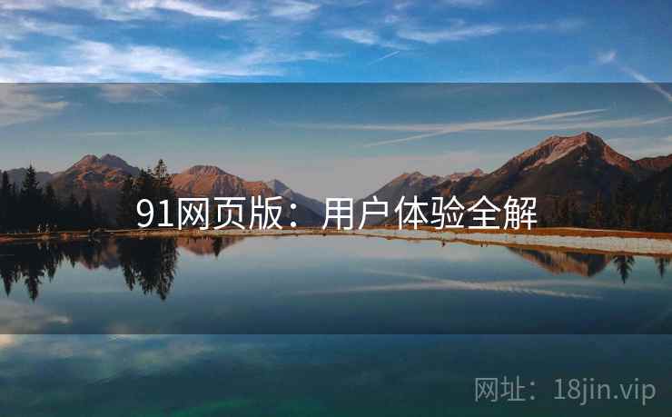 91网页版：用户体验全解  第1张