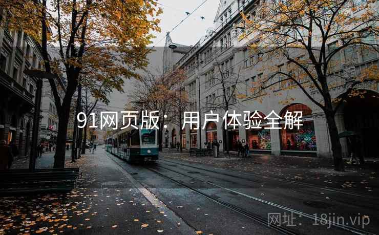 91网页版：用户体验全解  第2张