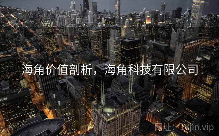 海角价值剖析，海角科技有限公司  第1张