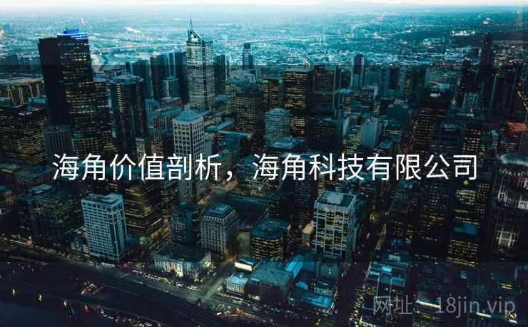 海角价值剖析，海角科技有限公司  第2张