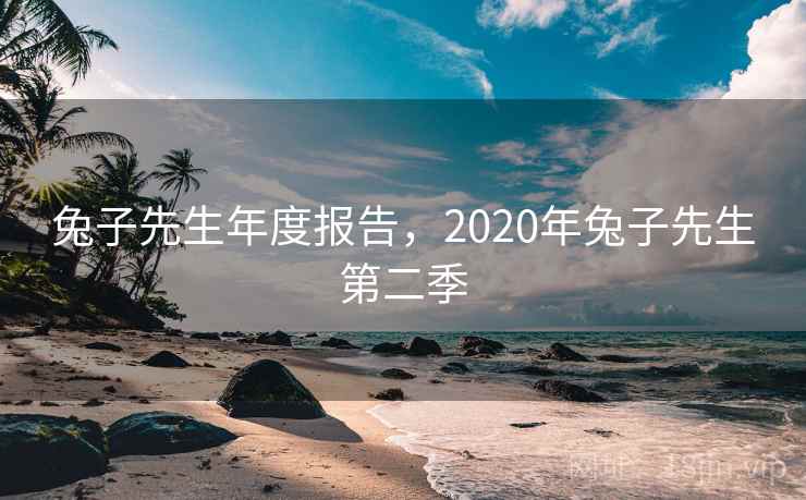兔子先生年度报告，2020年兔子先生第二季  第2张