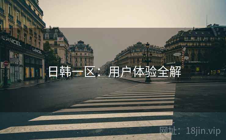 日韩一区：用户体验全解  第2张