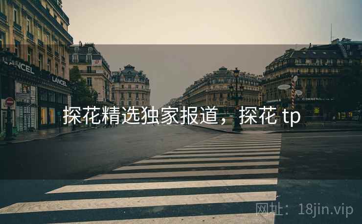 探花精选独家报道，探花 tp  第2张