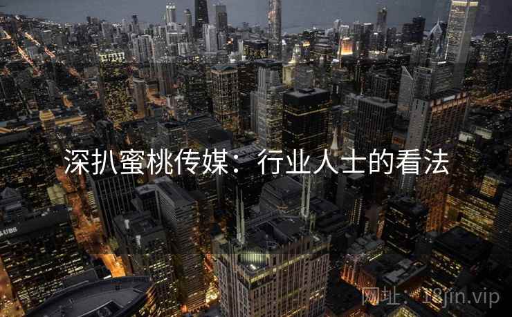 深扒蜜桃传媒：行业人士的看法  第2张