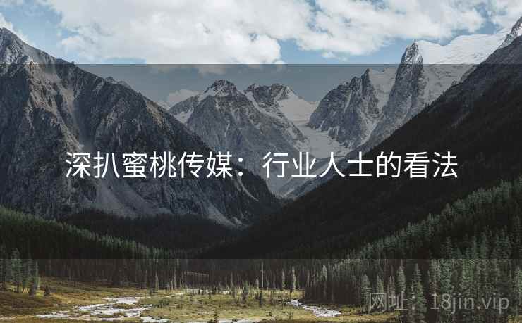 深扒蜜桃传媒：行业人士的看法  第1张