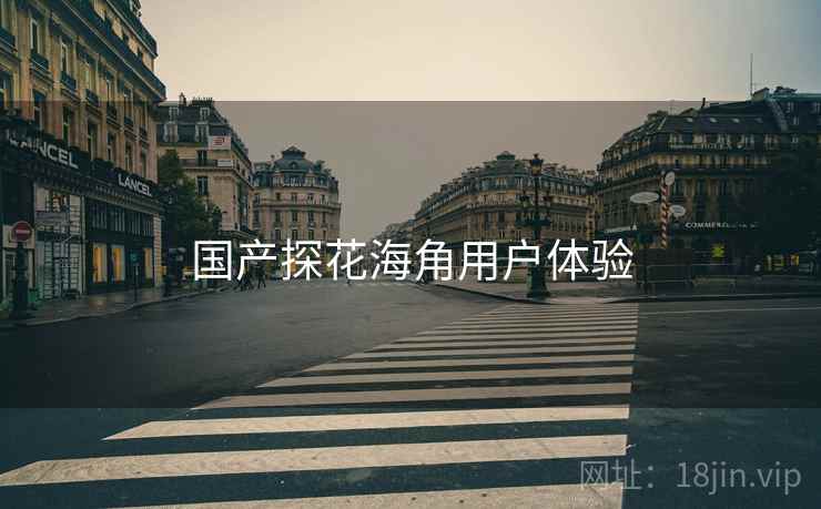 国产探花海角用户体验  第1张