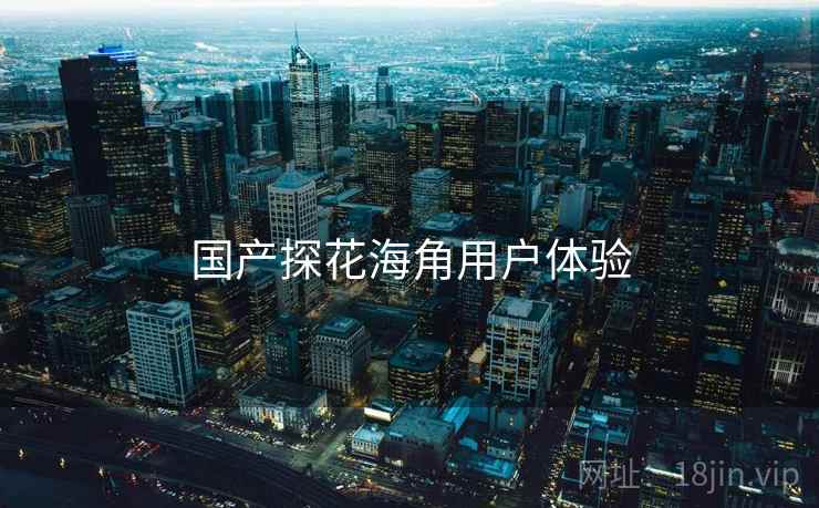 国产探花海角用户体验  第2张