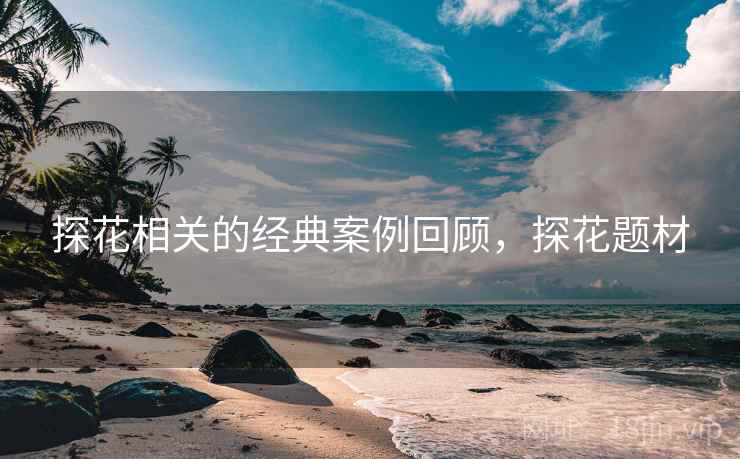 探花相关的经典案例回顾，探花题材  第1张