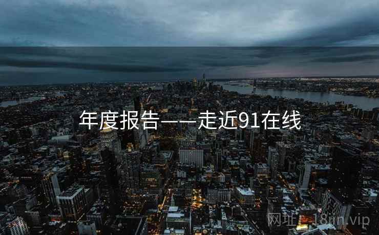 年度报告——走近91在线  第1张