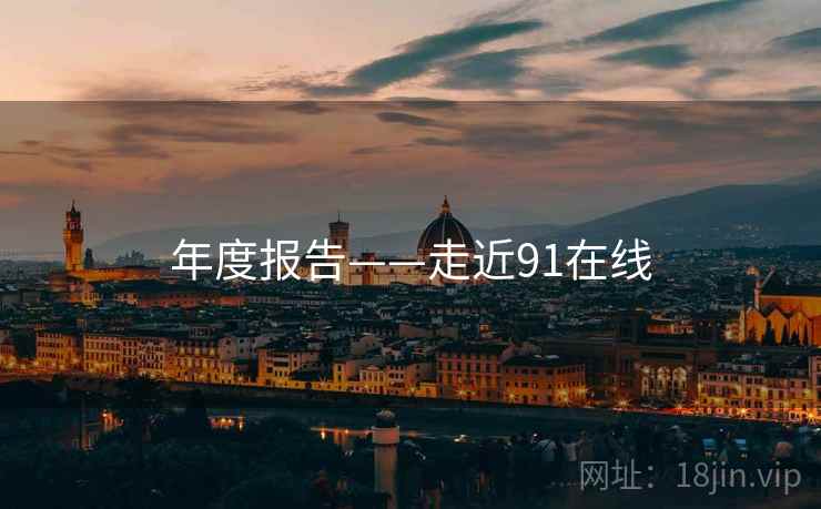 年度报告——走近91在线  第2张