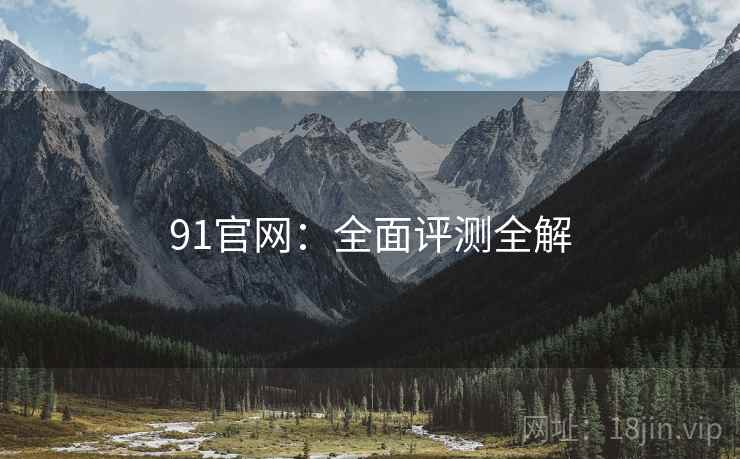 91官网：全面评测全解  第2张