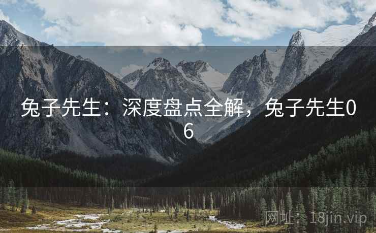 兔子先生：深度盘点全解，兔子先生06  第2张