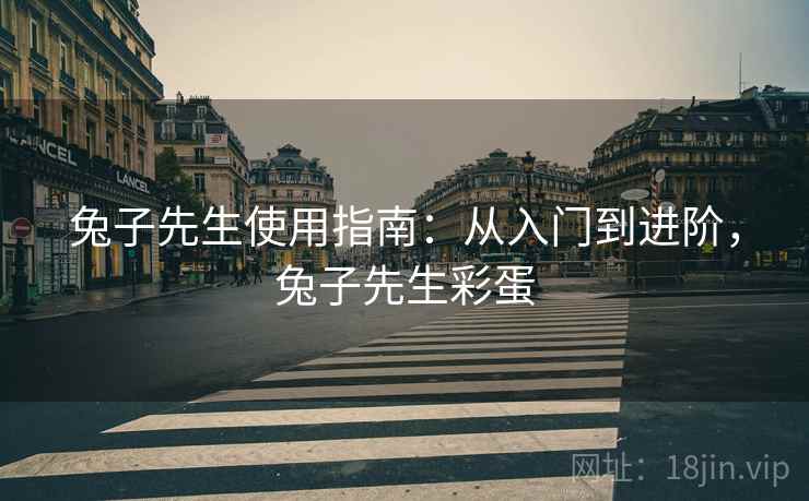 兔子先生使用指南：从入门到进阶，兔子先生彩蛋  第2张