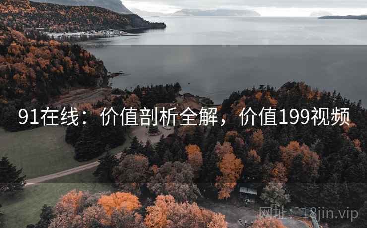 91在线：价值剖析全解，价值199视频