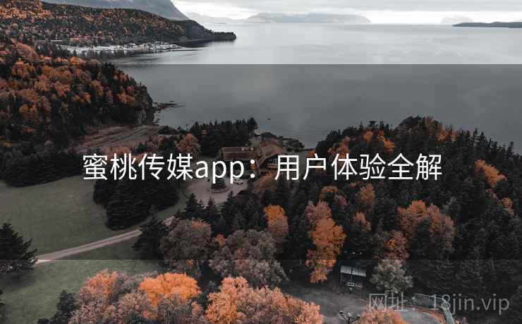 蜜桃传媒app：用户体验全解  第2张