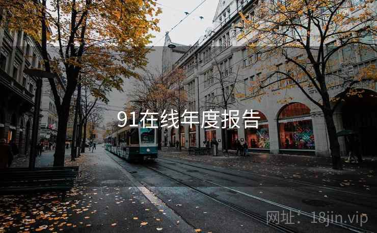 91在线年度报告  第1张
