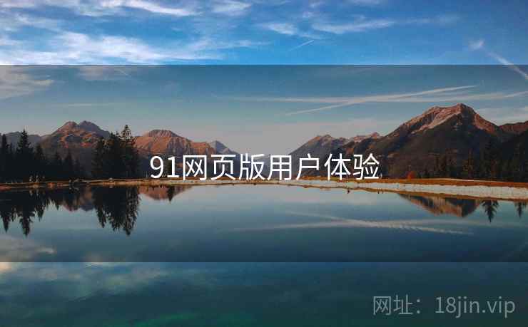 91网页版用户体验  第2张